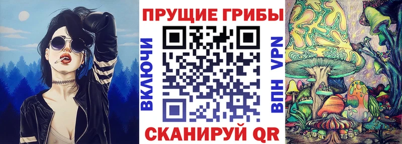 Галлюциногенные грибы Psilocybe  Буйнакск 