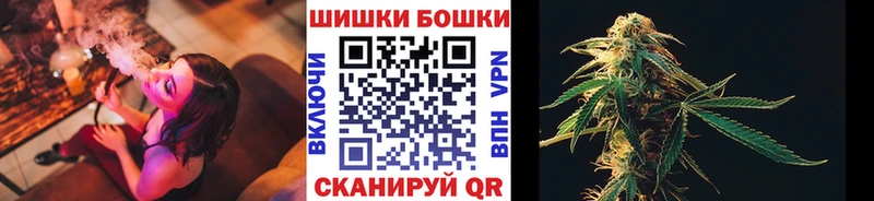 Конопля SATIVA & INDICA  Буйнакск 